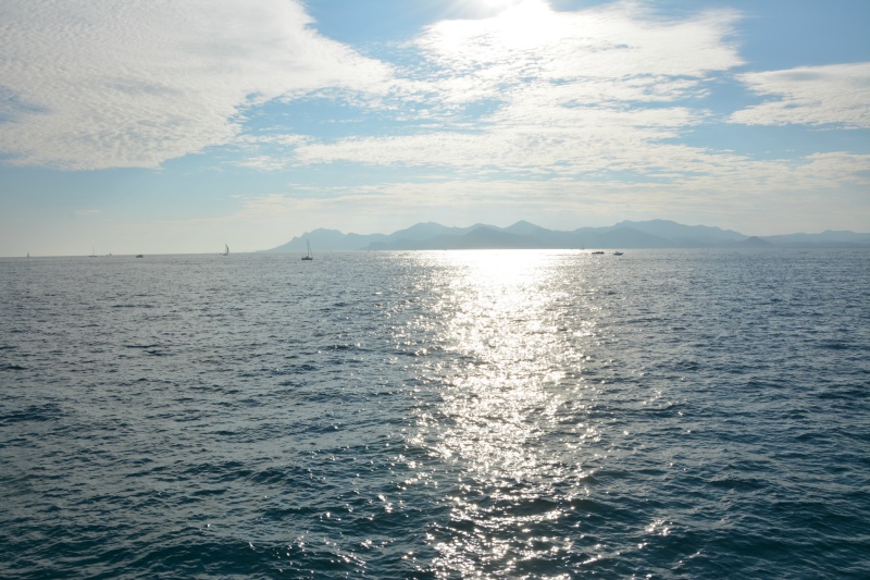 CANNES ANTIBES 136